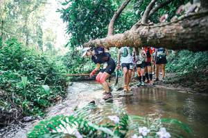 BIB: 
                            <button type="button" onclick="openModal(25461467)" class="btn btn-primary btn-sm float-right btn-popup" data-toggle="modal" data-target=".modal-high-quality">
                        <i class="fas fa-shopping-cart"></i> Add to Cart
                    </button>
                                            <button type="button" onclick="isThisMe(25461467, true)" class="btn btn-success btn-sm float-right btn-popup btn-isme hidden" data-toggle="tooltip" data-placement="bottom" title="นี่คือรูปของคุณใช่ไหม คลิกที่นี่เพื่อเอาเข้าอัลบั้ม">
                        <i class="fas fa-plus"></i> Add to album
                    </button>
                    <button type="button" onclick="isThisMe(25461467, false)" class="btn btn-warning btn-sm float-right btn-popup btn-isnotme hidden">
                        <i class="fas fa-ban"></i> Remove from album
                    </button>